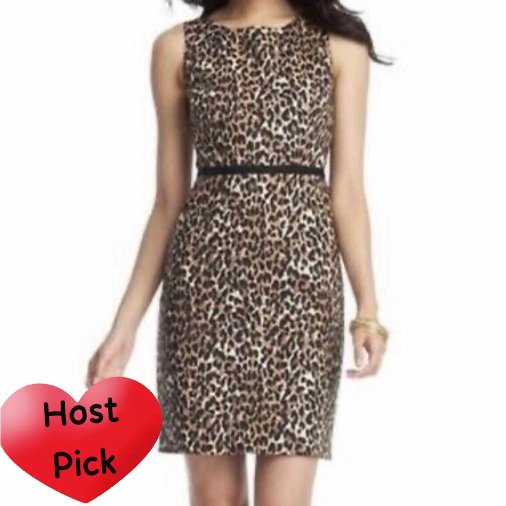 ANN TAYLOR LOFT LEOPARD PRINT SLEEVELESS DRESS👗0P
